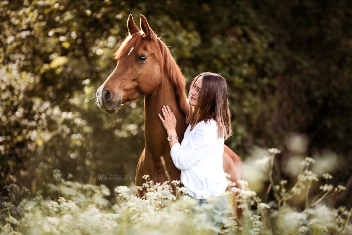 Fotoshooting Mit Pferd Kosten