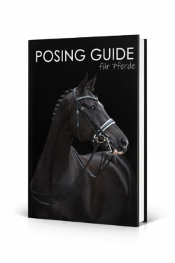 Der Posing Guide für Pferdefotografen