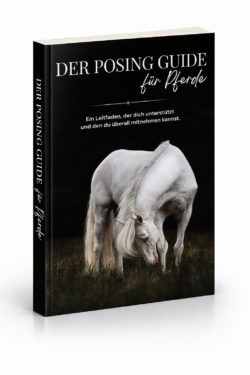 Der Posing Guide für Pferdefotografen