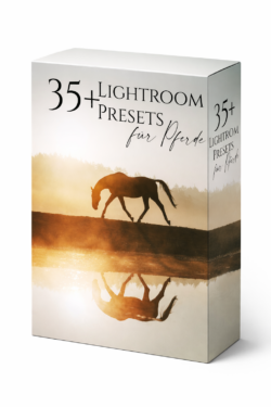 35+ Lightroom Presets für Pferde