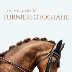Online Workshop - Dein Leitfaden zur Turnierfotografie
