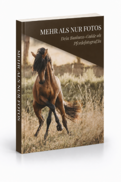 Kundengewinnung & Kundenbindung als Pferdefotograf:in - das eBook